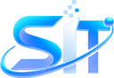 Saran Infotech logo